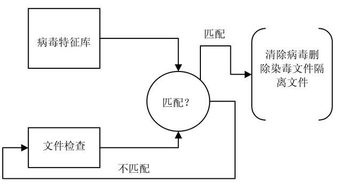 數(shù)字時(shí)代的守護(hù)者 防毒軟件與網(wǎng)絡(luò)信息安全軟件開(kāi)發(fā)的重要性